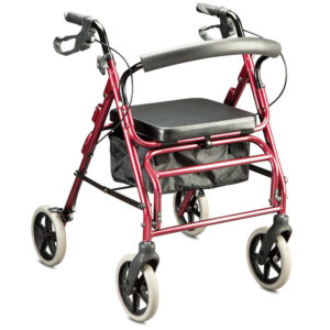 Trekker Duo Walker