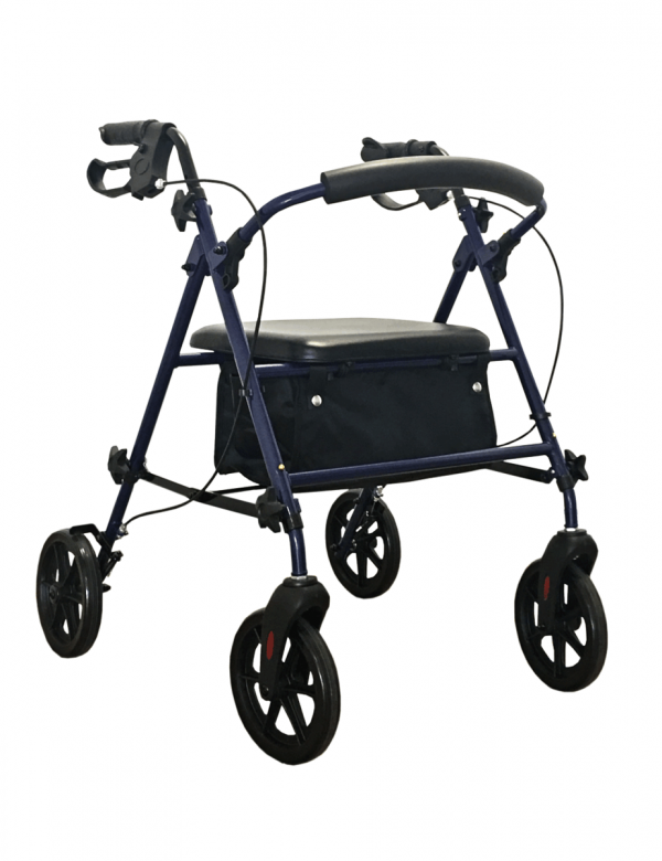 Triumph Seat Walker