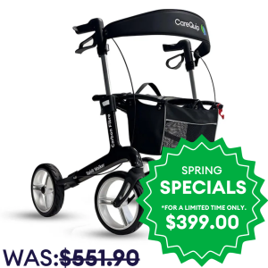 Spirit Walker Carbon Fibre